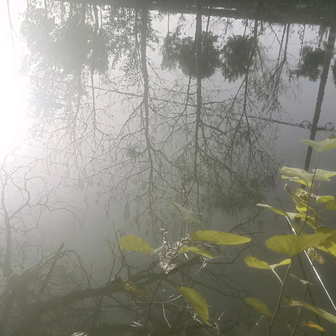 李亚粮食收购