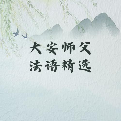 大安法师法语