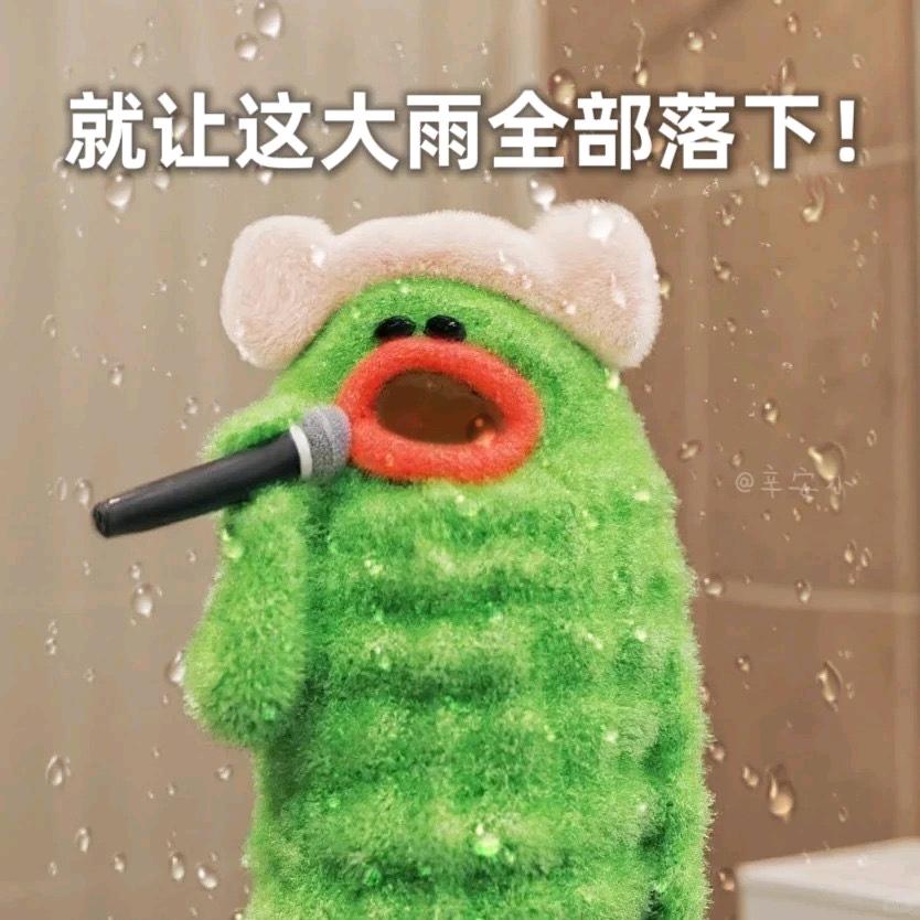 就让这大雨落下