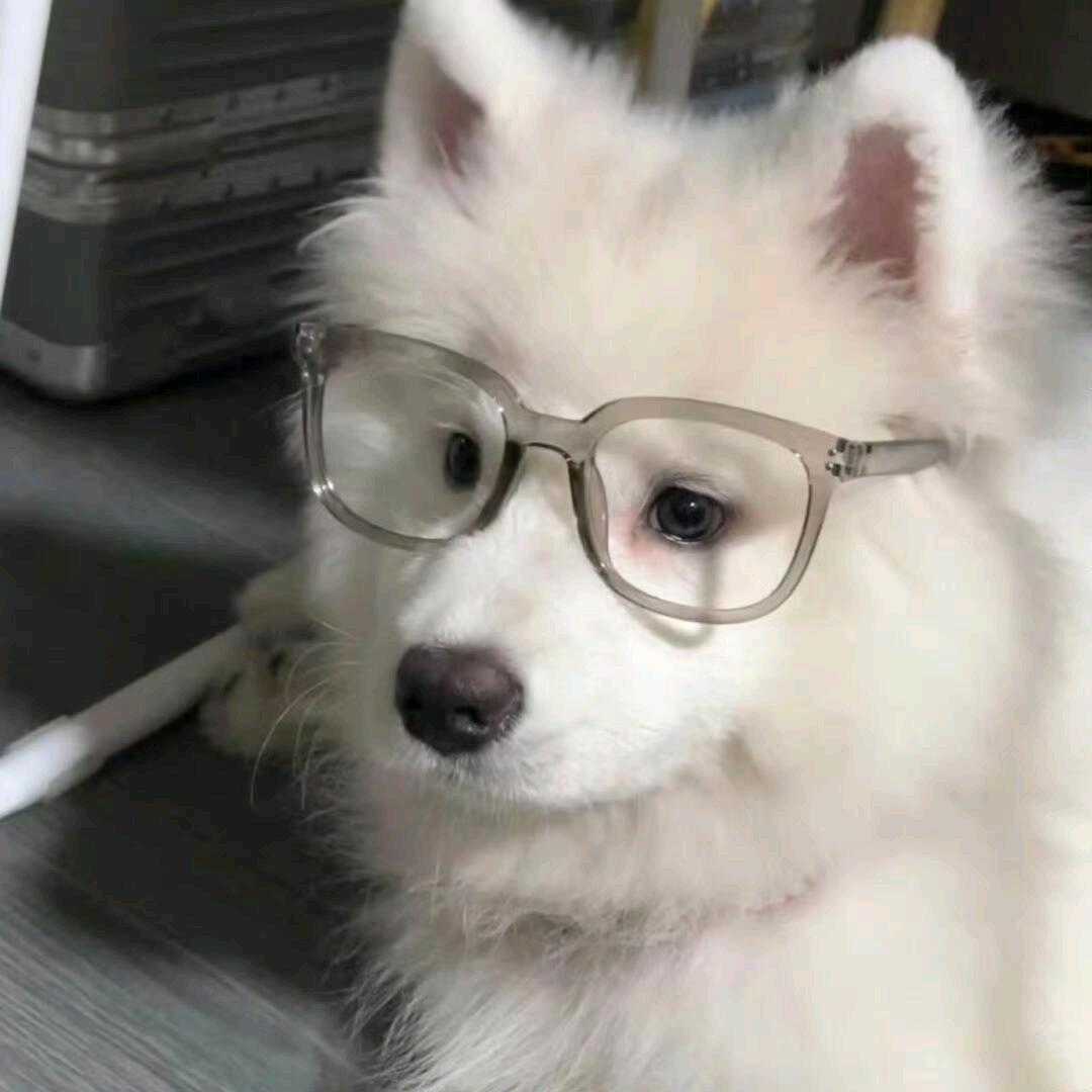 七