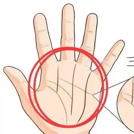 手✋相奥秘（无偿）