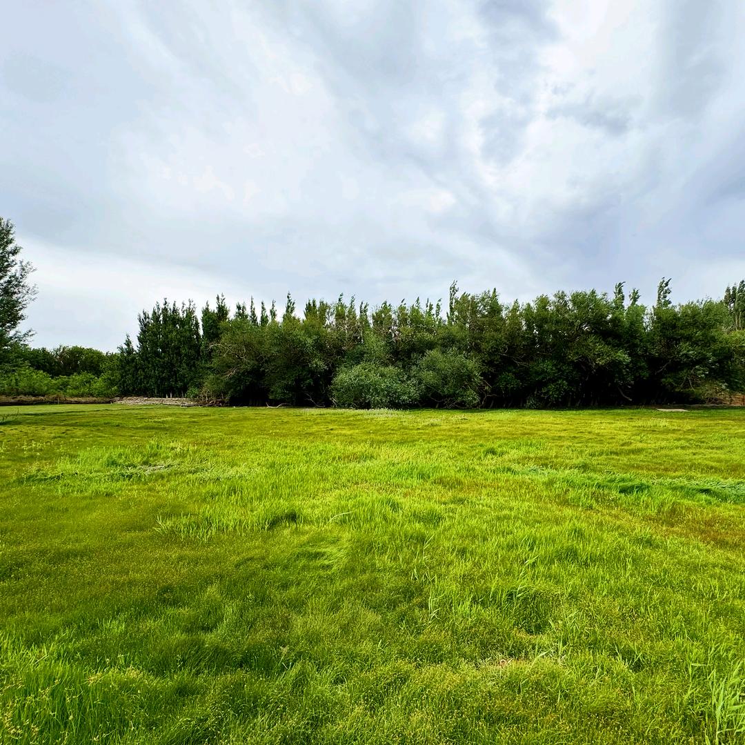 新疆红石文旅有限公司