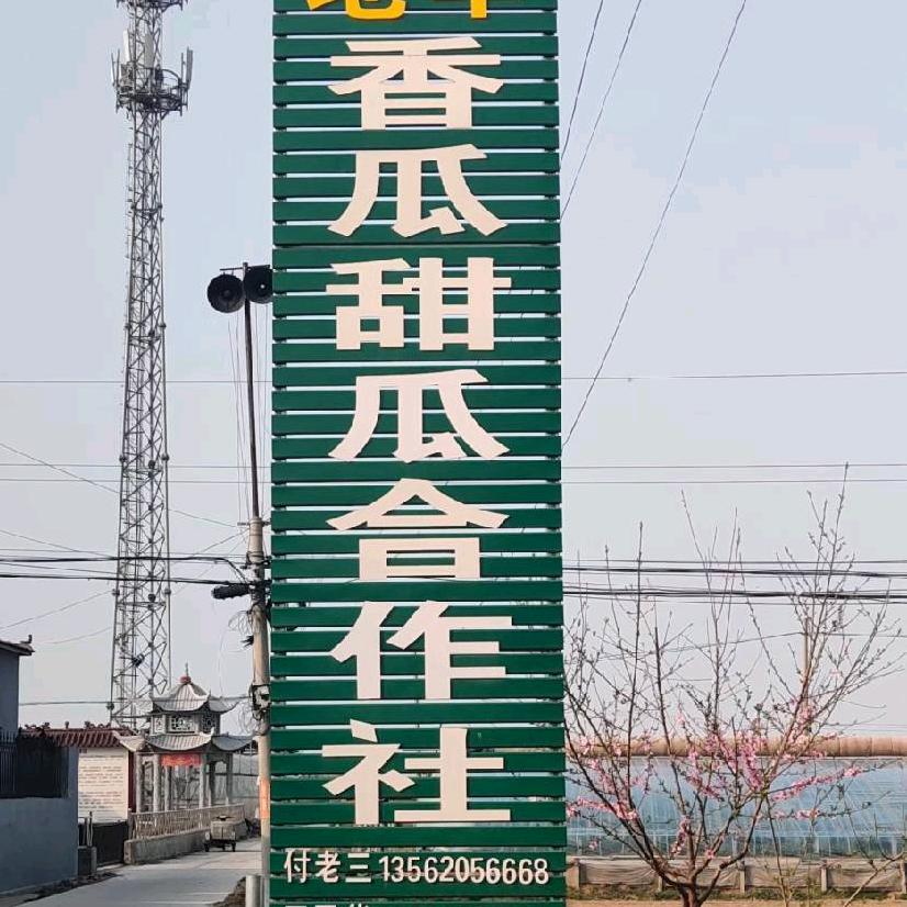 王华