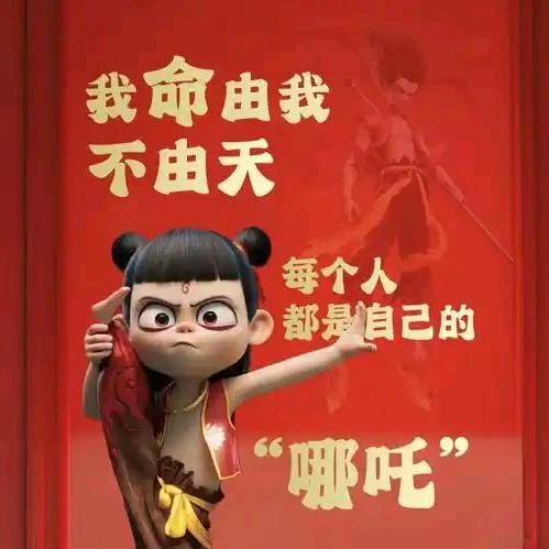 小龙龙吖