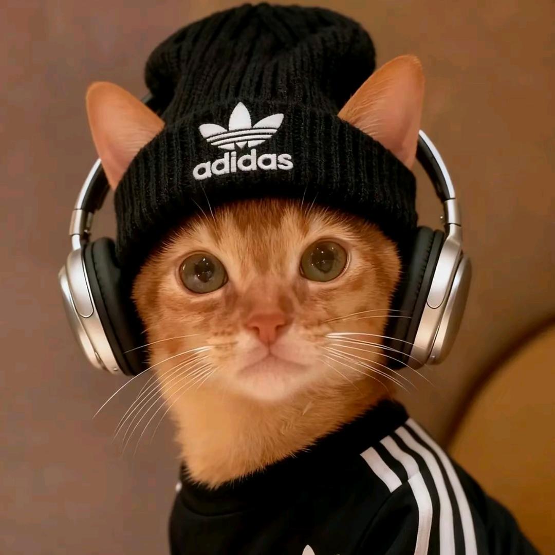 姐姐～