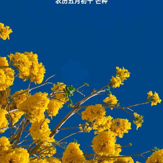 墙微