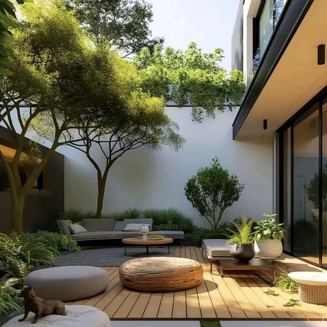 西南设计庭院-田田