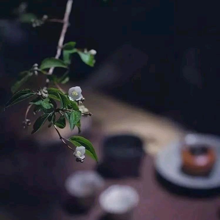 静心