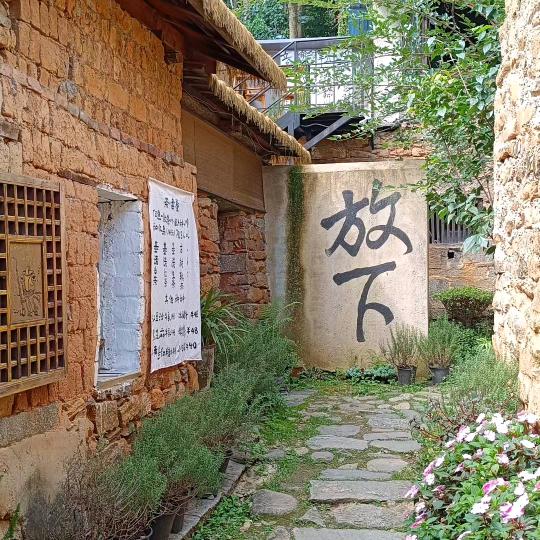 玫瑰也曾温柔过