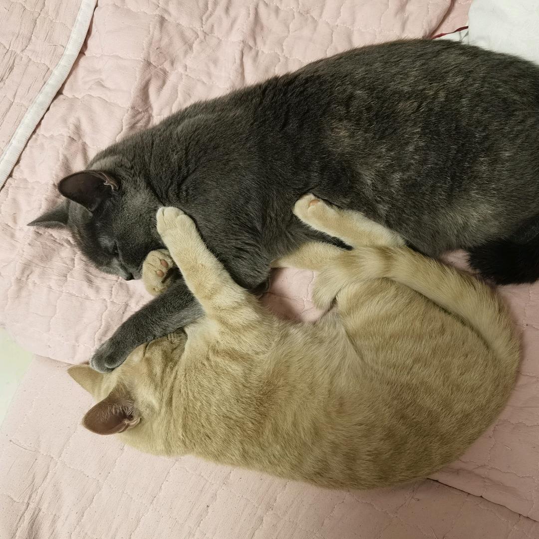 取名好难😓