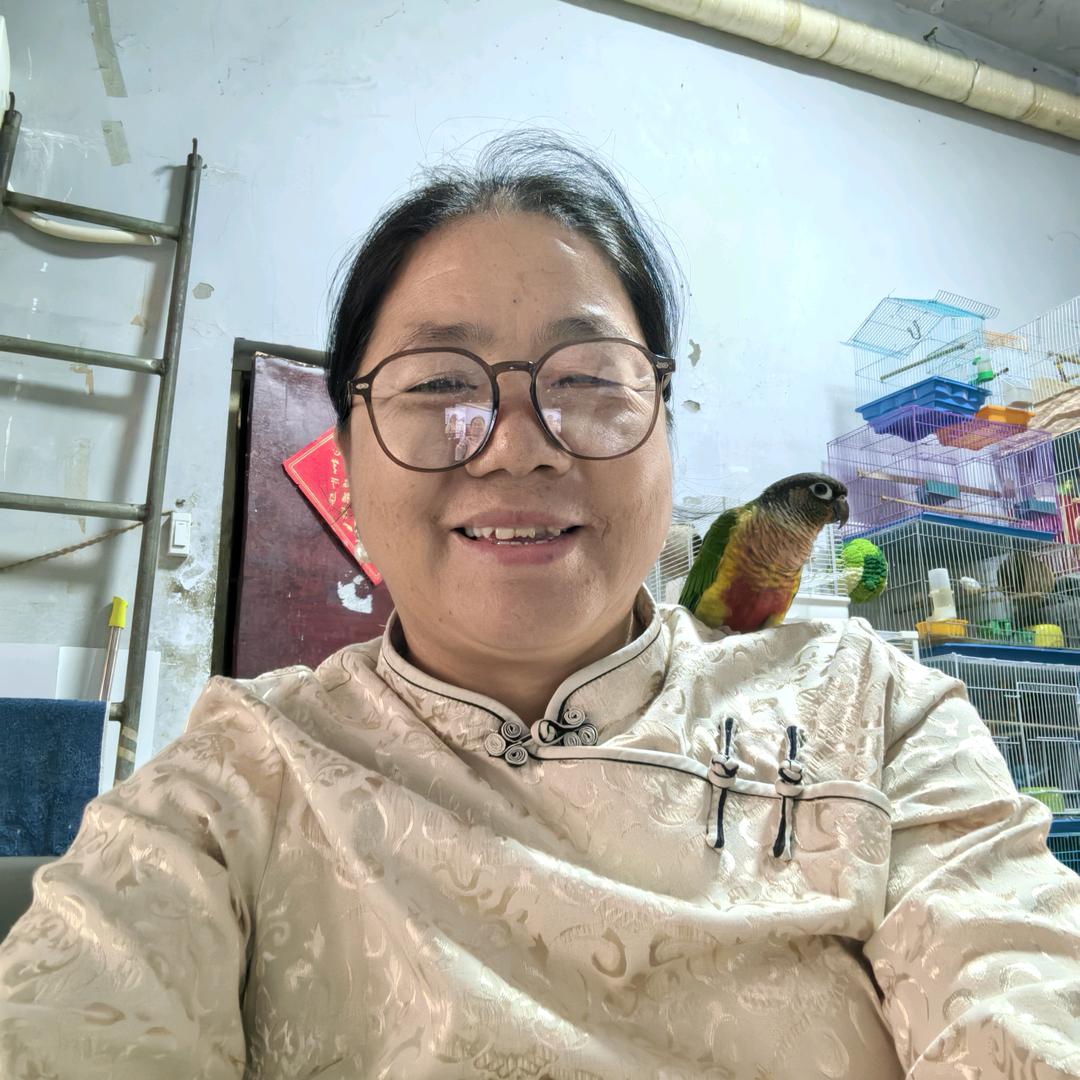 鑫鑫姥姥(一点直播）