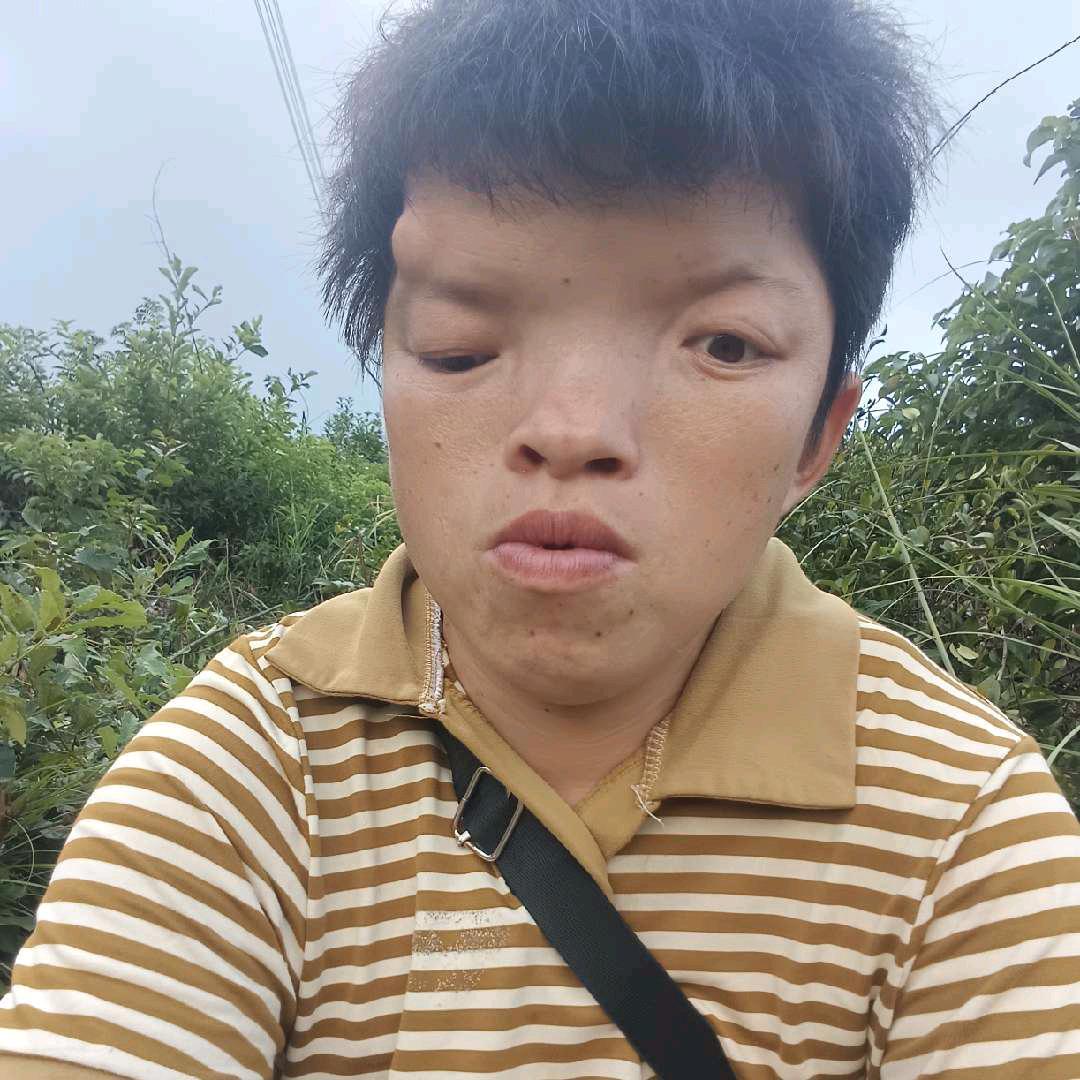 冬妹（继续前行）