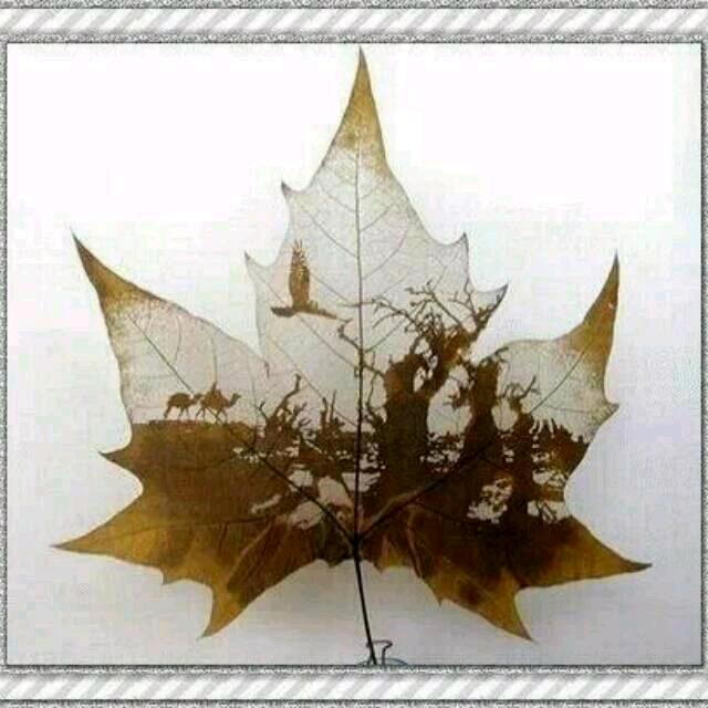 @漫步云端强哥🇨🇳