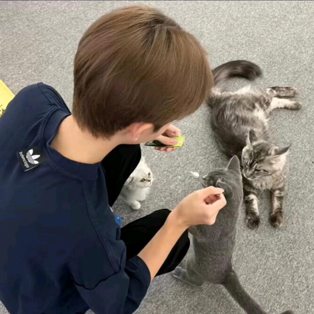 香蕉拿拿小琛