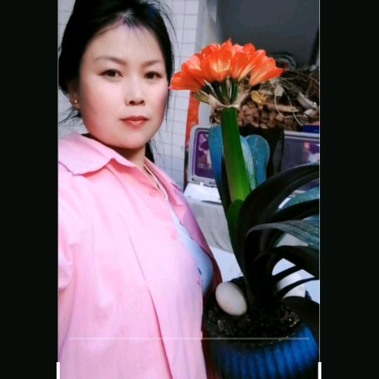 木棉花的春天