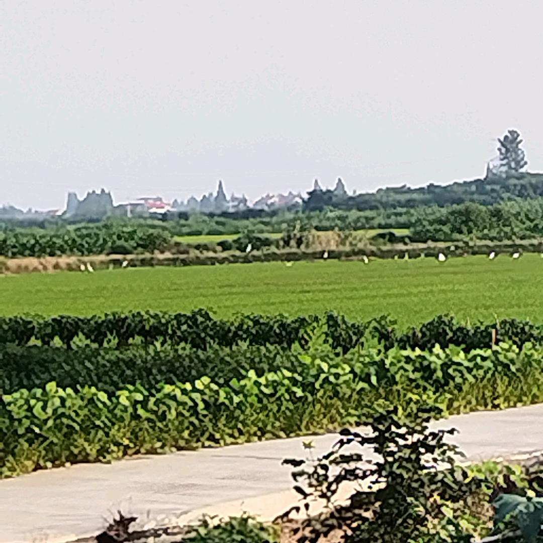 明天会更好