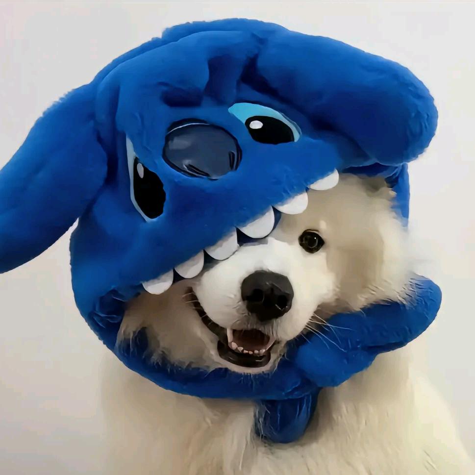 来日做春风²²³