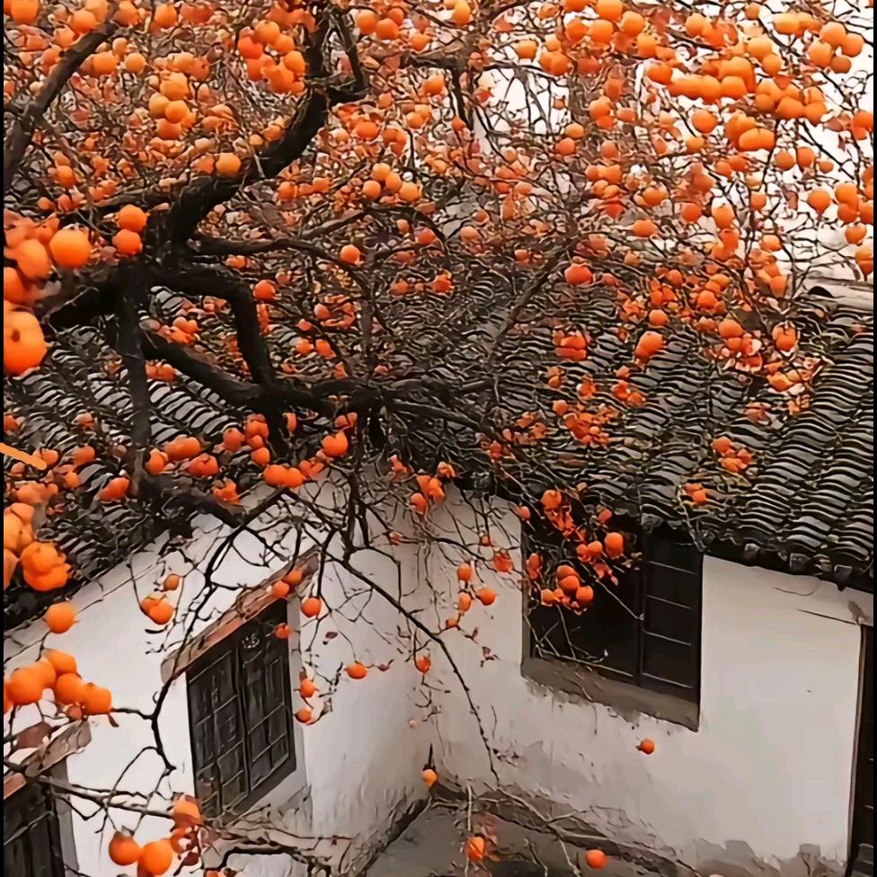 似水流年