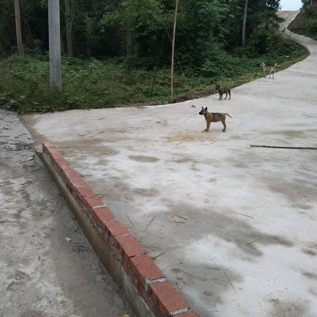 顾佳佳（每天9点10分开播）