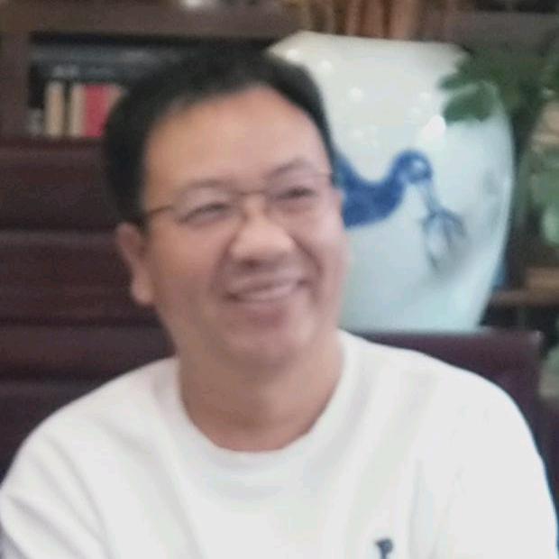 叶间藏柳意