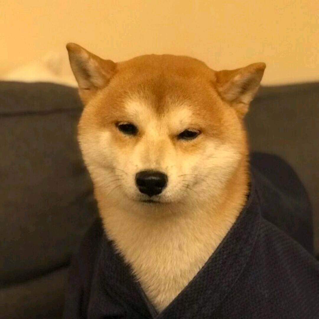 小柴