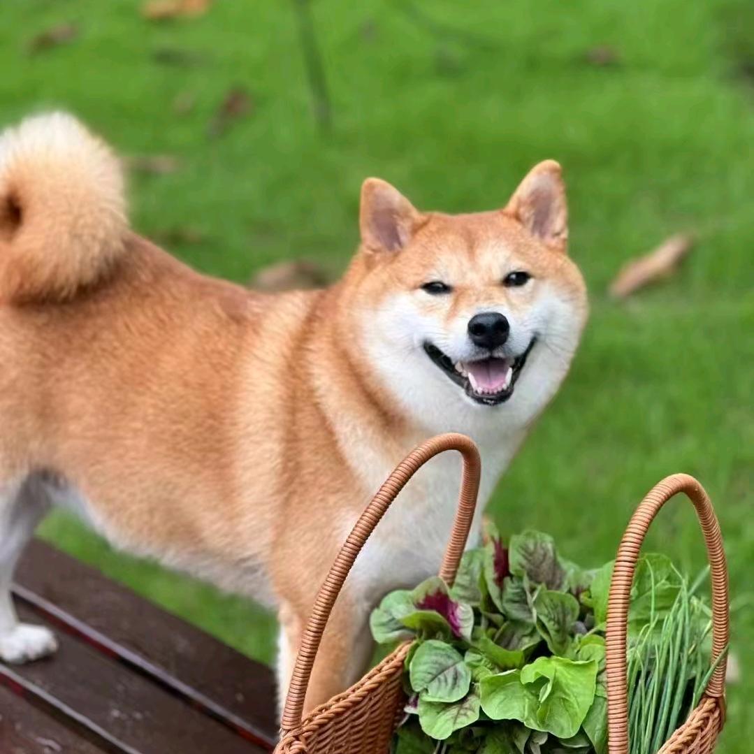 合肥市瑶海区季筠信息咨询工作室