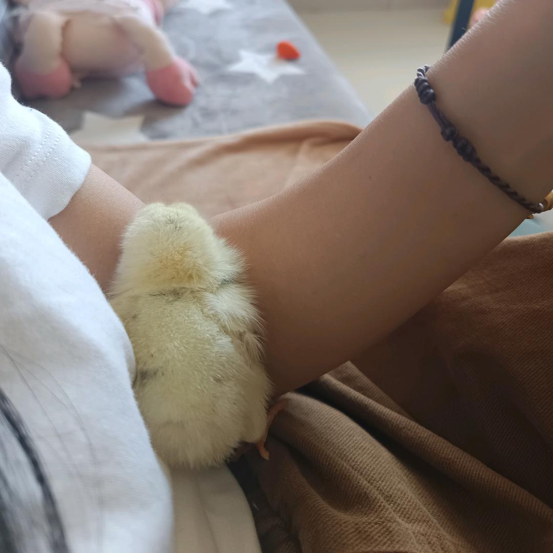 甜柚柚🍀