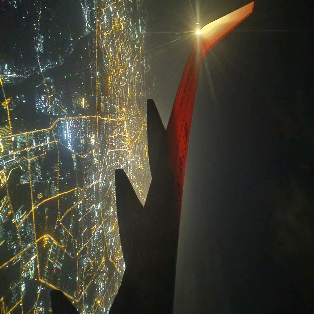 大狗小狗小小狗（三条狗）