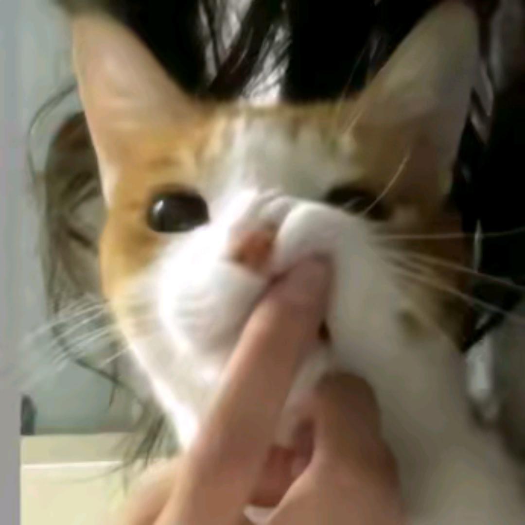 祈灵