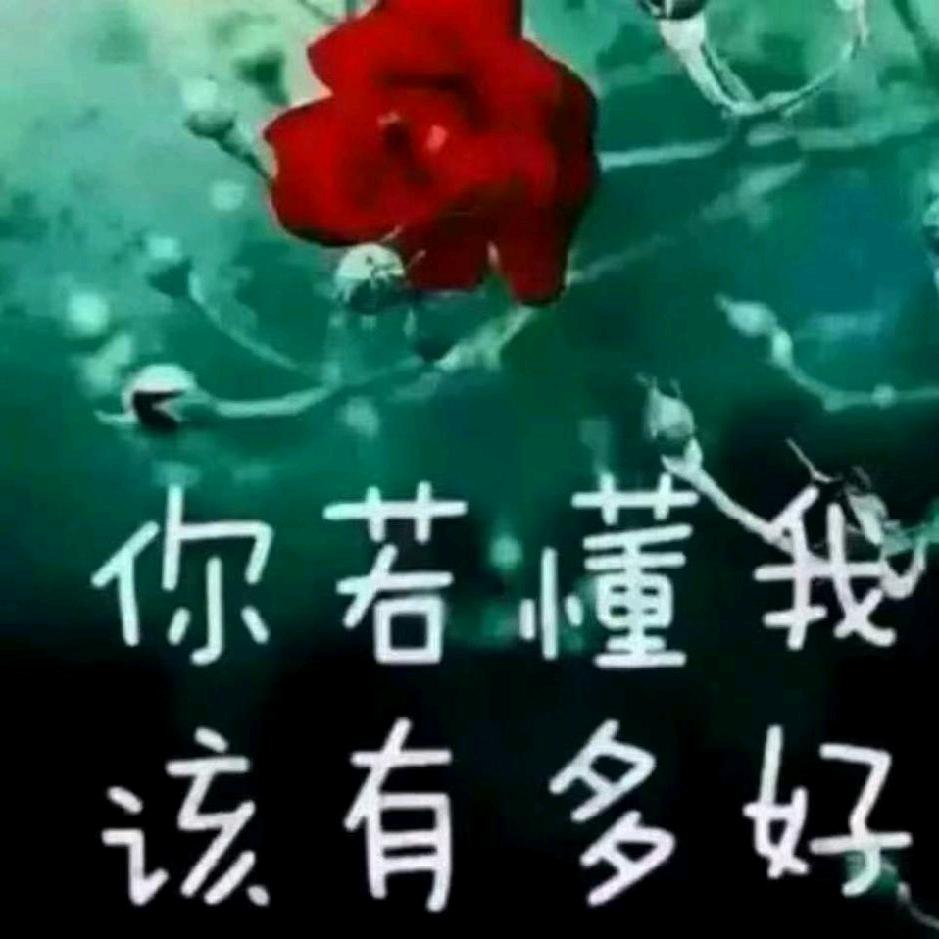 冬去春来的阳光