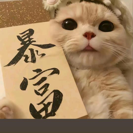 口袋满满💰💰2