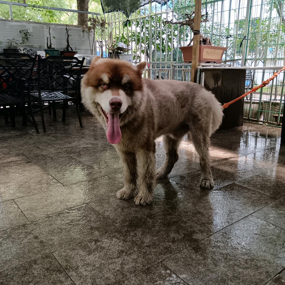 你不是我的爱人