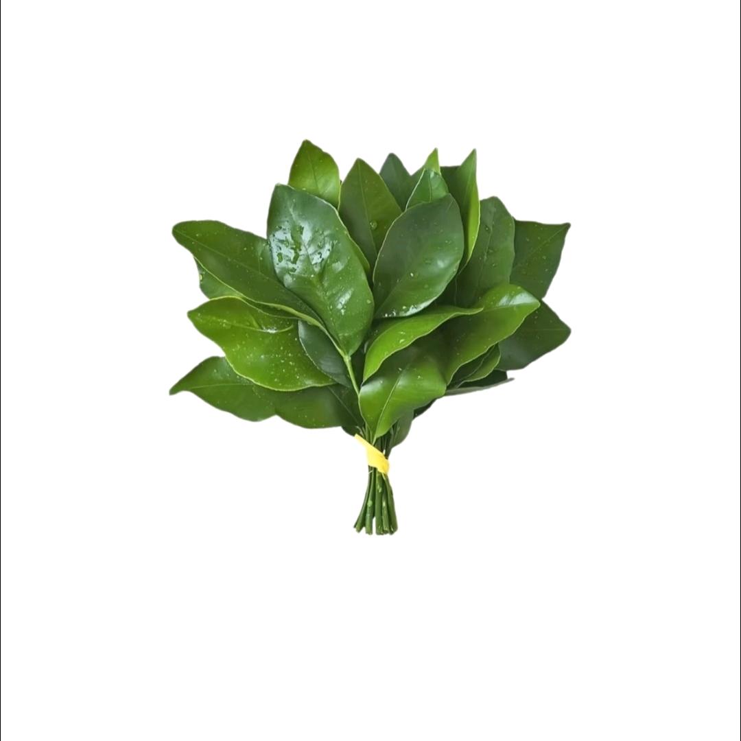 柚子椰