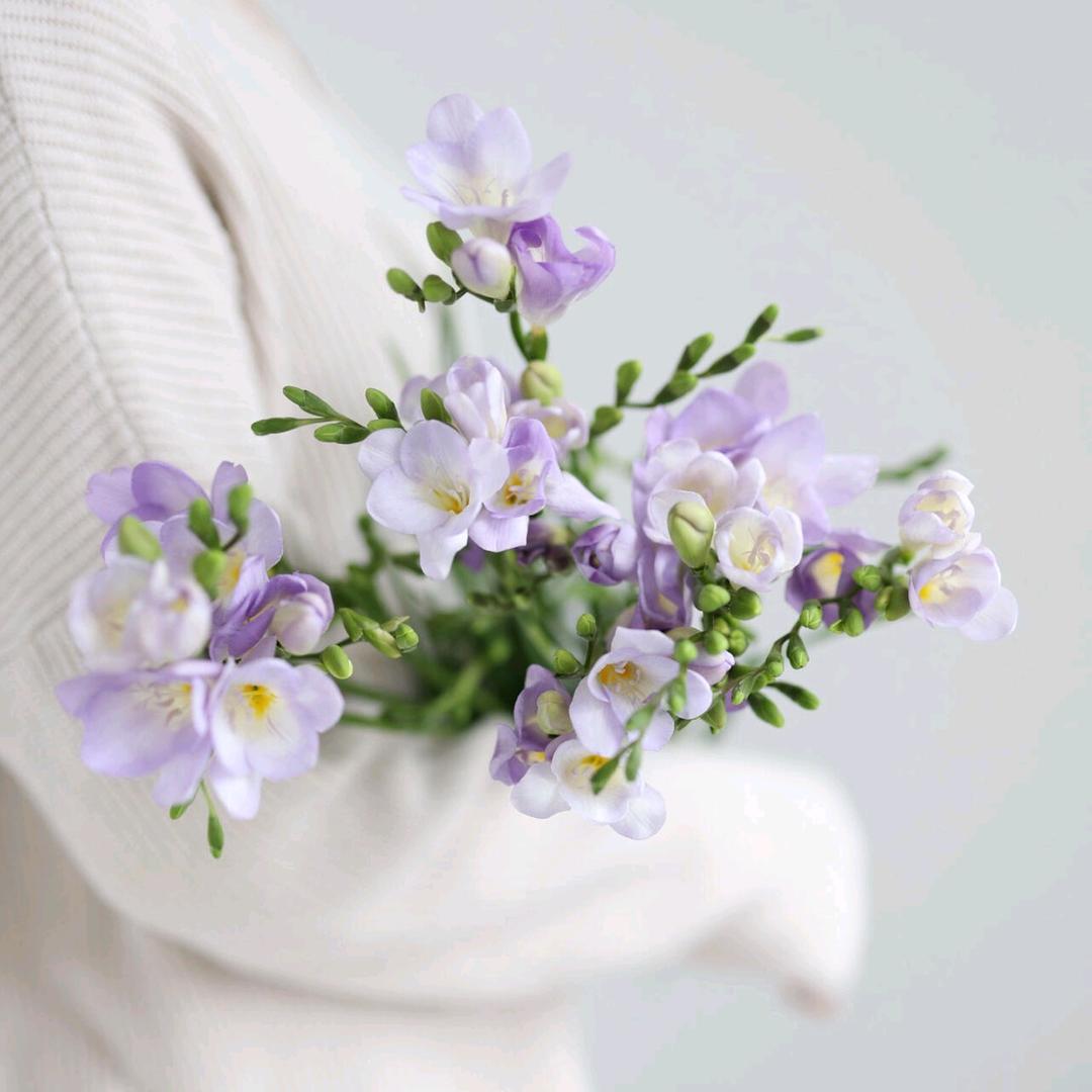 锦上添花花坊