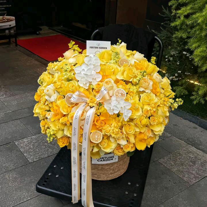 覃姐姐好物分享l