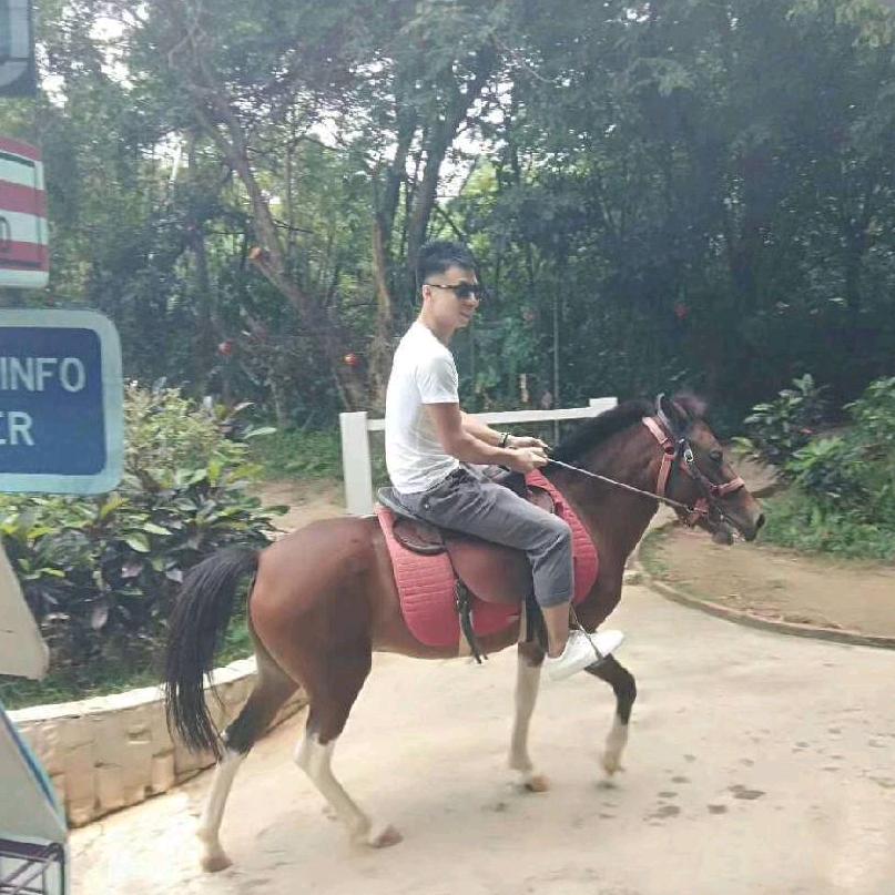 小义