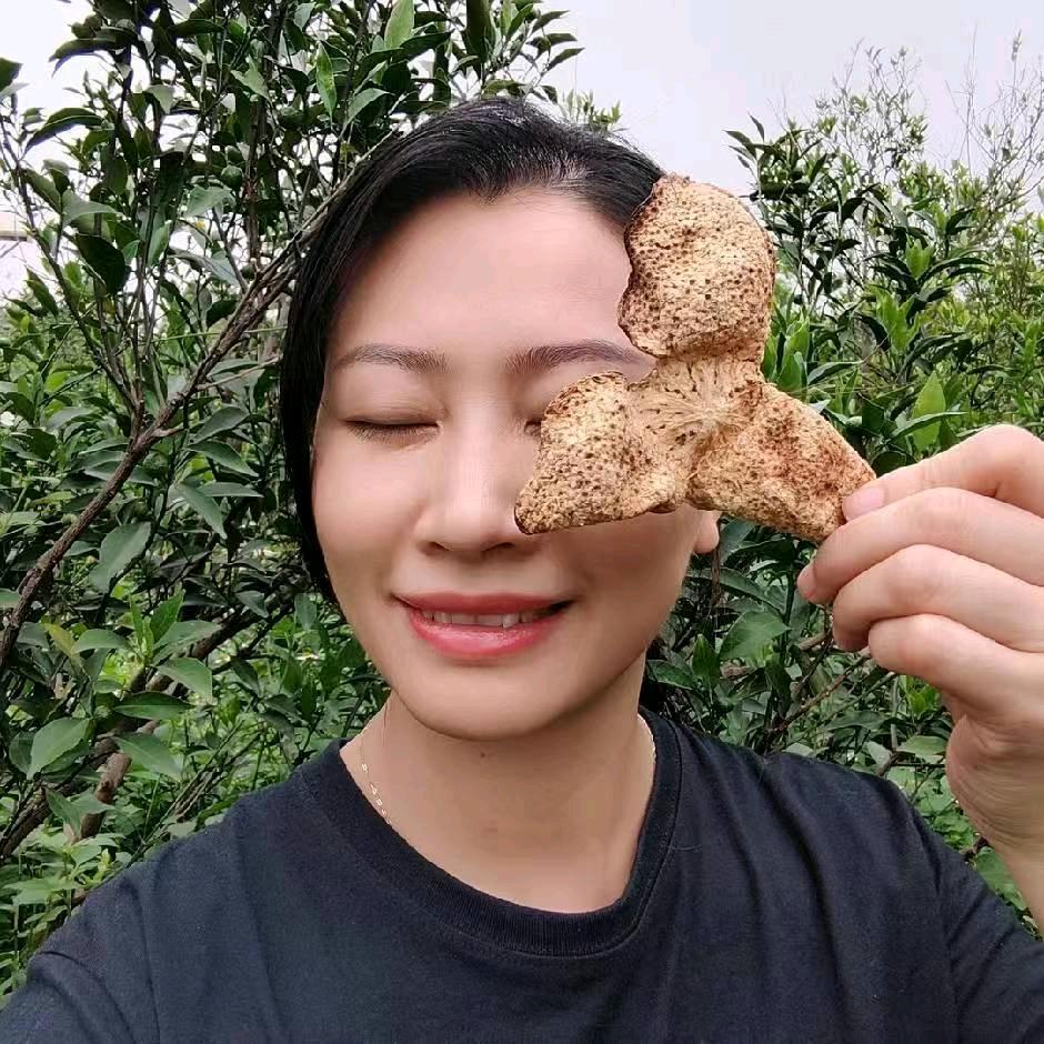 新会农之宝陈皮柑园