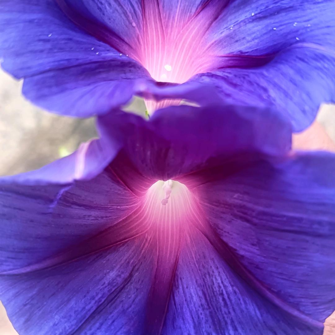 余生不再委屈自己