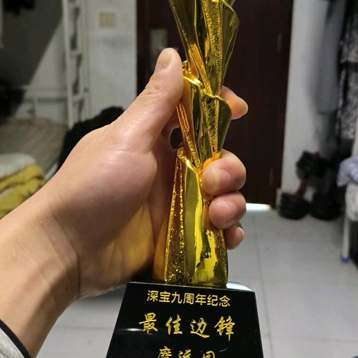 桃花坞里桃花庵