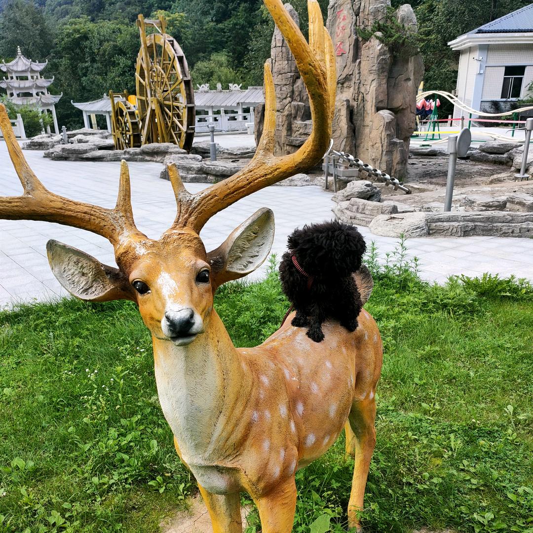 搞笑小丑杂技小军