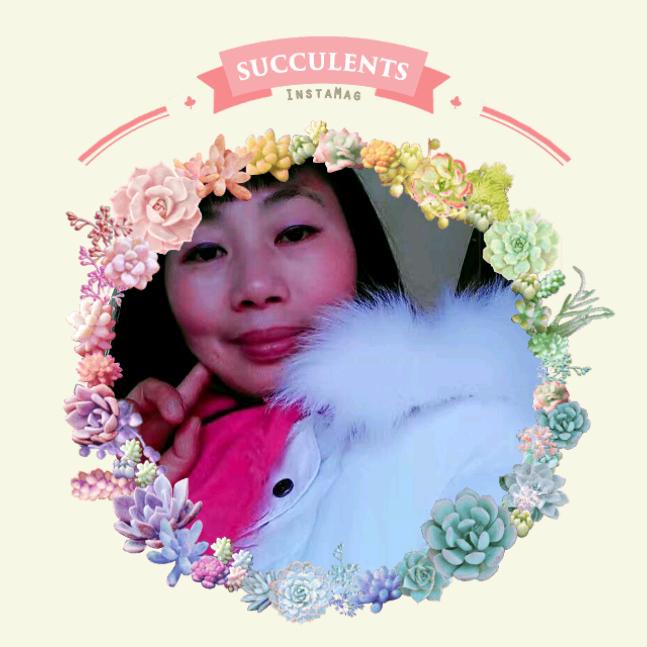 丑花雪憨