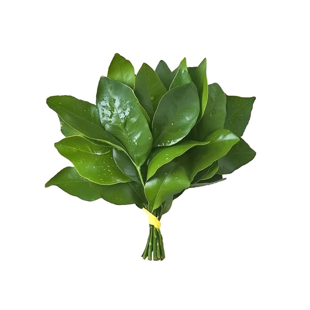 好运