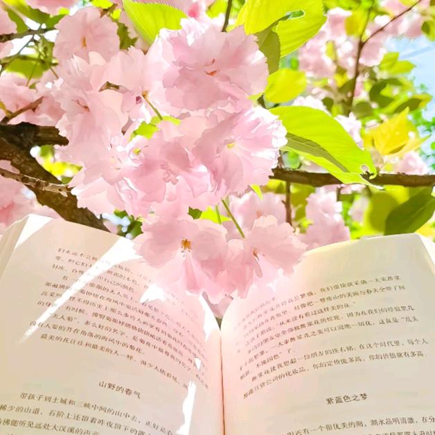 平安🍀✿