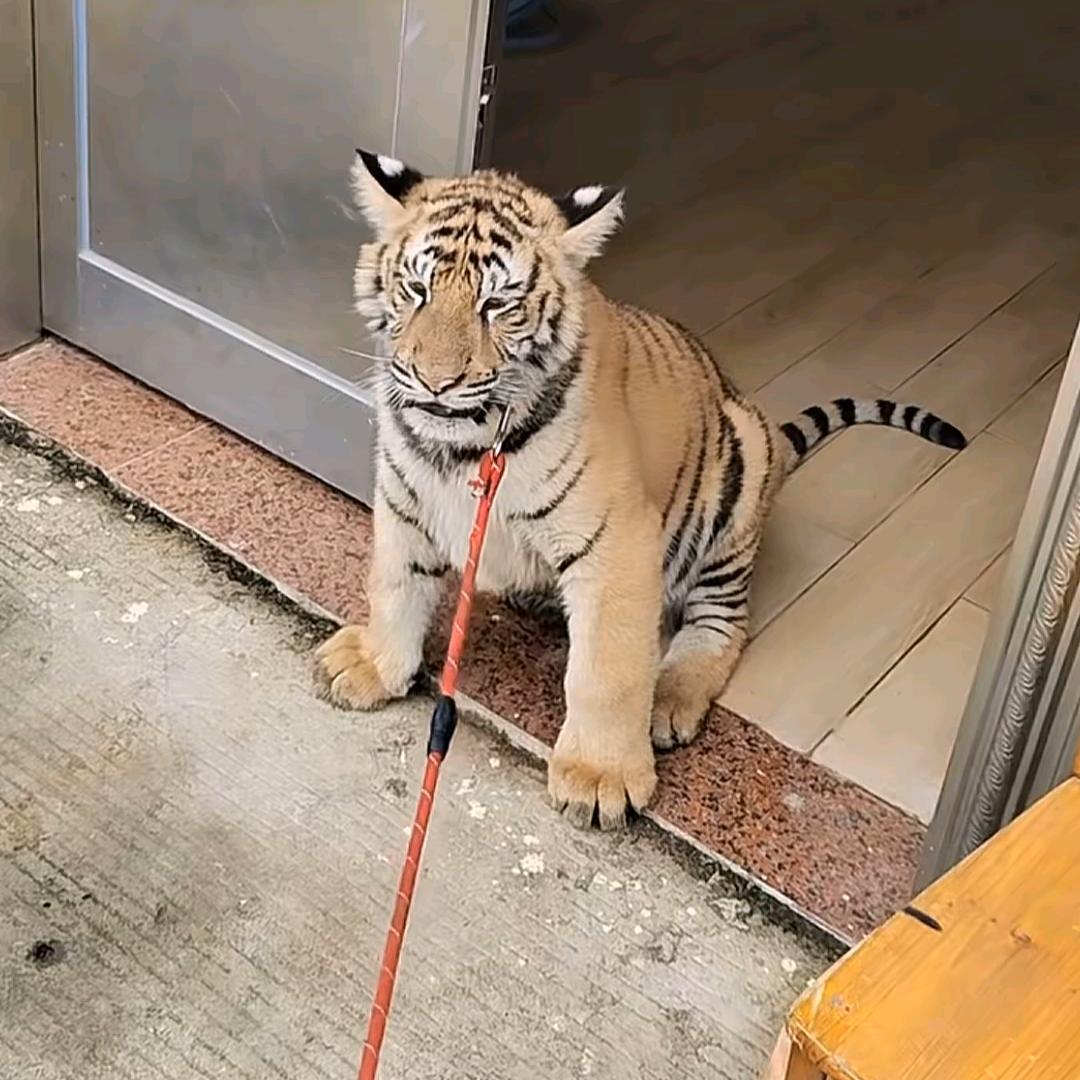 🌈🌈添添🌈🌈