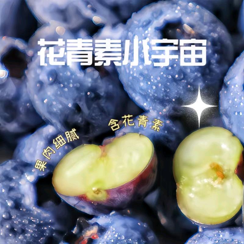 四川攀枝花智富圆梦网络集市