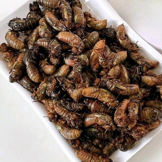 郑先生