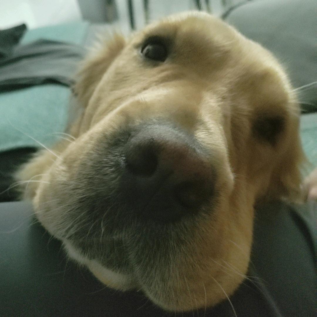 老旺烟火气（红烧肉面、羊肉串、臭豆腐）