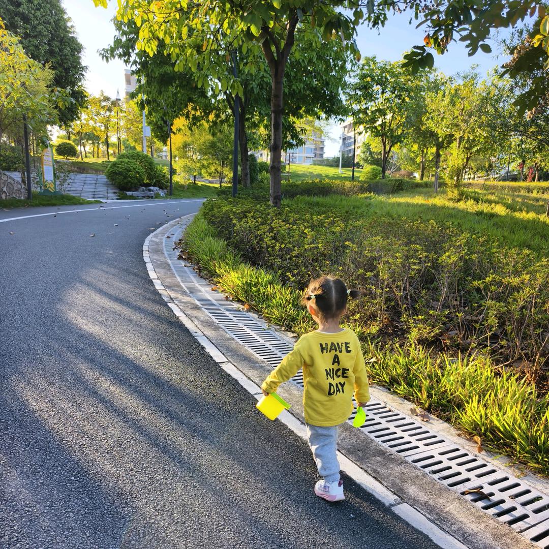 🌈 菠萝过敏星人