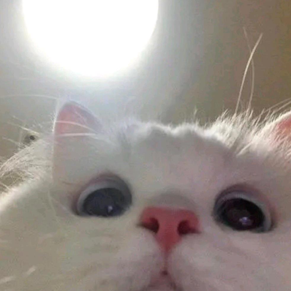 ⁷