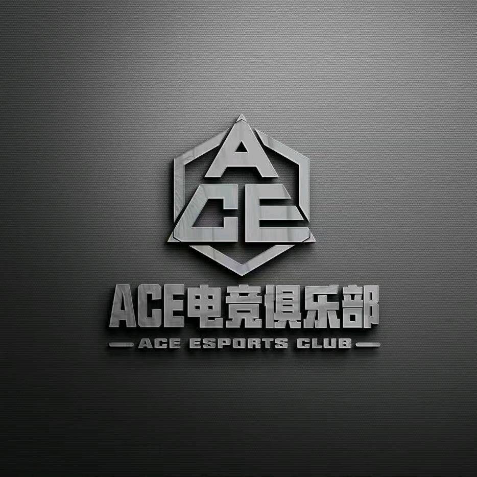 ACE电竞（三角洲行动）